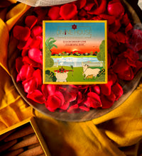 Divine House Gulabi Seva - Rose Luxury Dhoop Cone