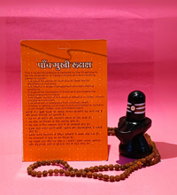 5 Mukhi Rudraksha – Symbol of Peace, Health & Spiritual Growth