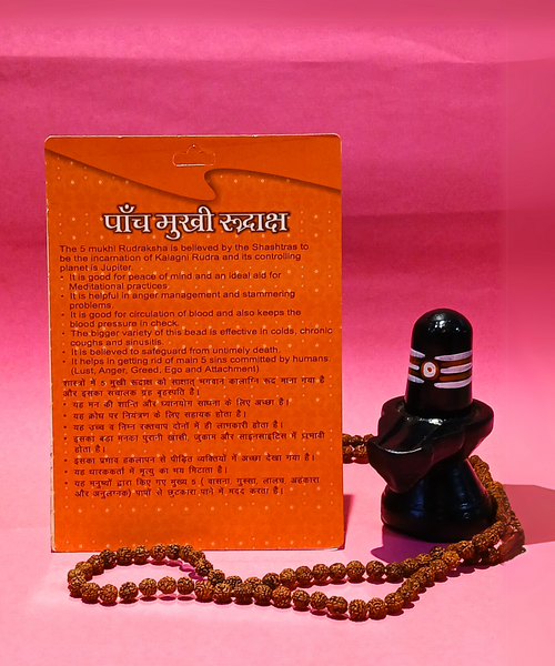 5 Mukhi Rudraksha – Symbol of Peace, Health & Spiritual Growth