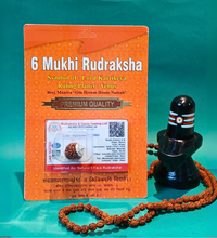 6 Mukhi Rudraksh – Symbol of Courage & Balance