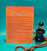 6 Mukhi Rudraksh – Symbol of Courage & Balance