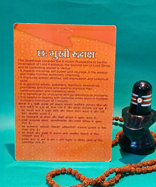 6 Mukhi Rudraksh – Symbol of Courage & Balance