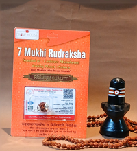 7 Mukhi Rudraksha – Symbol of Wealth, Prosperity & Protection