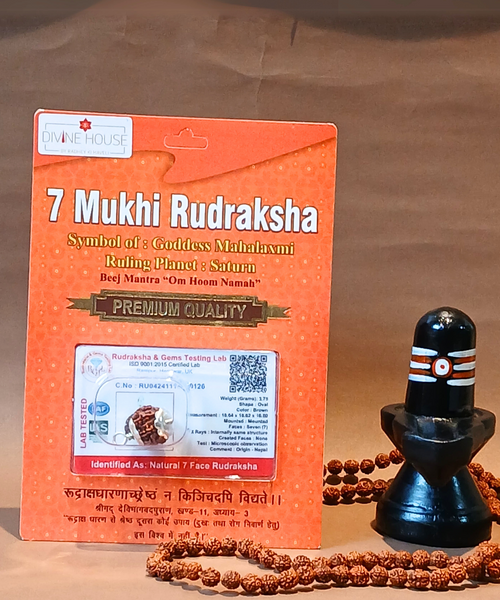 7 Mukhi Rudraksha – Symbol of Wealth, Prosperity & Protection
