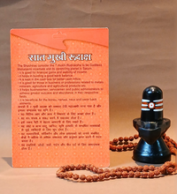 7 Mukhi Rudraksha – Symbol of Wealth, Prosperity & Protection
