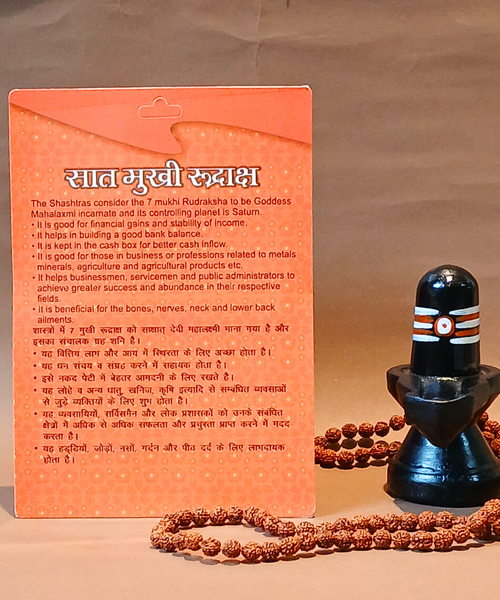 7 Mukhi Rudraksha – Symbol of Wealth, Prosperity & Protection
