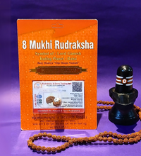 8 Mukhi Rudraksha – The Bead of Lord Ganesha