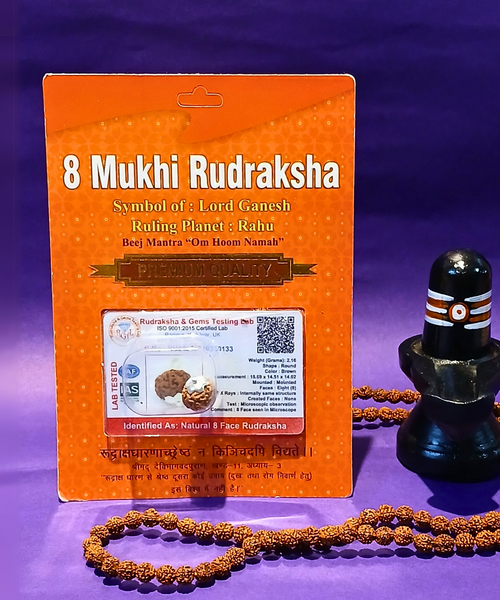 8 Mukhi Rudraksha – The Bead of Lord Ganesha