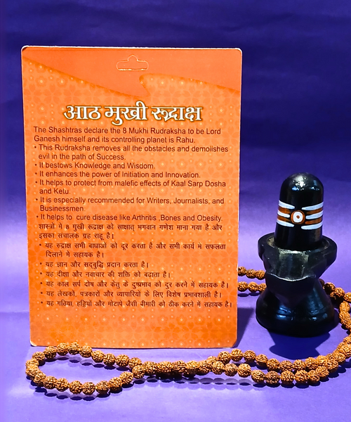 8 Mukhi Rudraksha – The Bead of Lord Ganesha