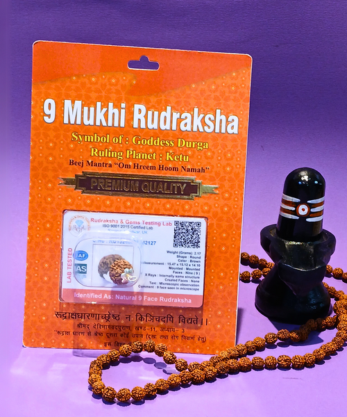 9 Mukhi Rudraksha