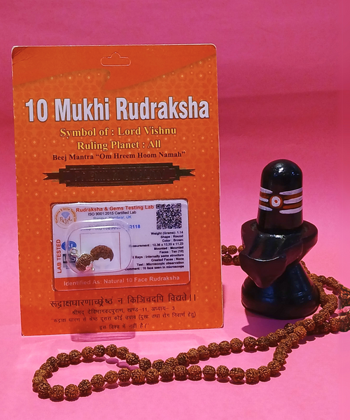 10 Mukhi Rudraksha
