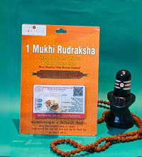 1 Mukhi Rudraksha – The Divine Blessing of Lord Shiva