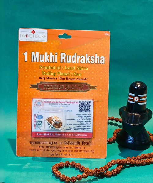 1 Mukhi Rudraksha – The Divine Blessing of Lord Shiva