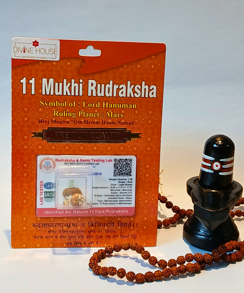 11 Mukhi Rudraksha – The Bead of Wisdom and Protection