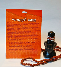 11 Mukhi Rudraksha – The Bead of Wisdom and Protection