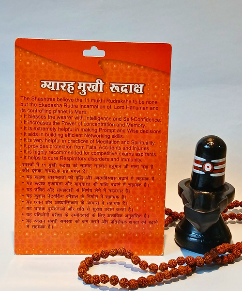 11 Mukhi Rudraksha – The Bead of Wisdom and Protection
