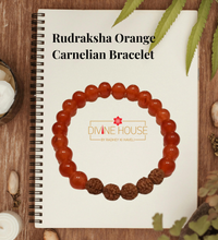 Confidence & Courage – Rudraksha Orange Carnelian Bracelet