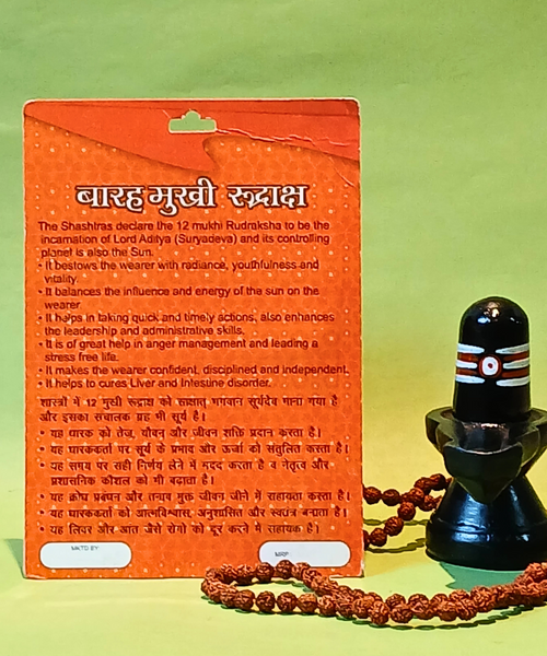 12 Mukhi Rudraksha – The Divine Bead of Surya Dev