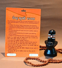 13 Mukhi Rudraksha – The Bead of Divine Blessings & Prosperity