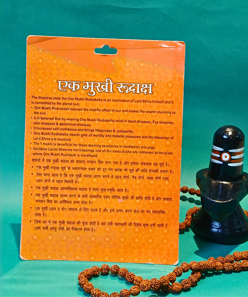 1 Mukhi Rudraksha – The Divine Blessing of Lord Shiva