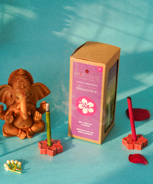 Divine House Dhoop Stick Ehsaas Pack