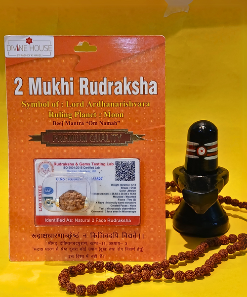 2 Mukhi Rudraksha – The Bead of Unity & Harmony