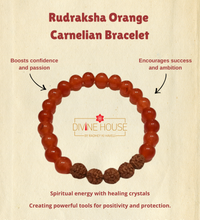 Confidence & Courage – Rudraksha Orange Carnelian Bracelet