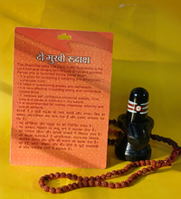 2 Mukhi Rudraksha – The Bead of Unity & Harmony