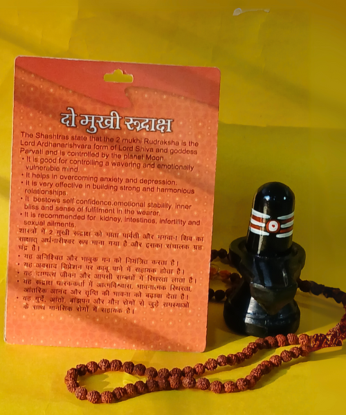 2 Mukhi Rudraksha – The Bead of Unity & Harmony