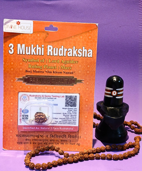 3 Mukhi Rudraksha – Symbol of Purity & Transformation