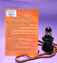 3 Mukhi Rudraksha – Symbol of Purity & Transformation