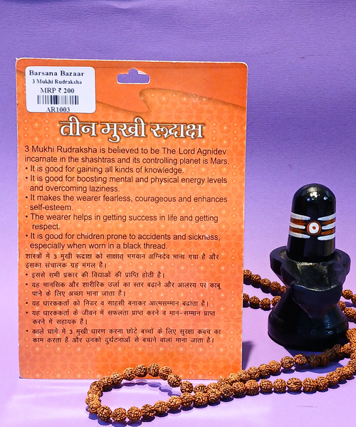3 Mukhi Rudraksha – Symbol of Purity & Transformation