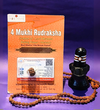 4 Mukhi Rudraksha – The Bead of Knowledge & Wisdom