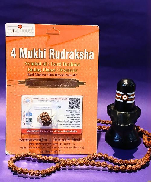 4 Mukhi Rudraksha – The Bead of Knowledge & Wisdom