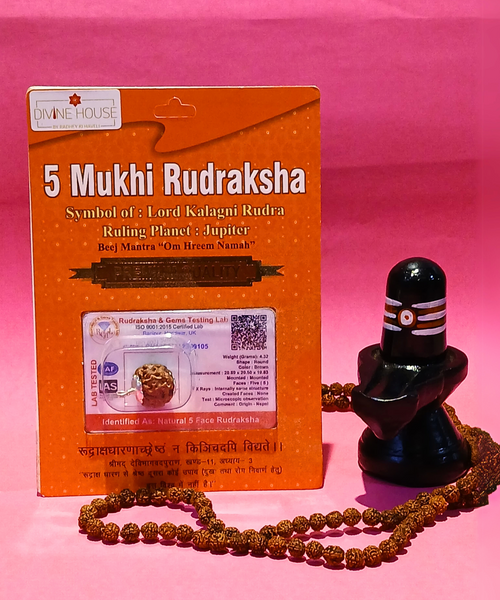 5 Mukhi Rudraksha – Symbol of Peace, Health & Spiritual Growth